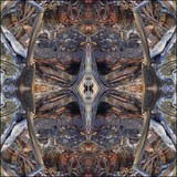 by Andrew Campbell