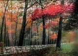 by William H. RaVell III