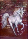 by Tami Dykes