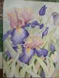 by Suni Godbold