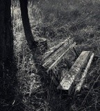 by Nikolay Semyonov