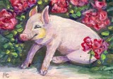 by peggy conyers
