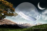by Ron  Atkin