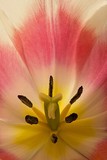 by Greg Summers