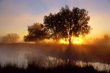 by Greg Summers