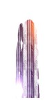 by magenta white