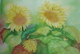 by Lori Azzolino