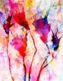 by Angel Estevez
