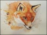 by Agnieszka Henne