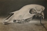 by Julianna Ziegler