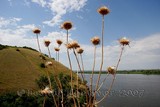 by Leonid Toprover