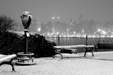 by Kristin Bolus