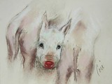 by Cori  Solomon