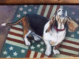by charlene hatch
