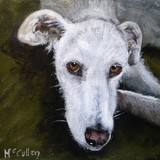by Paul McCullen