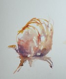 by Anne-Cecile Derrien