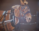 by Sandra McClure