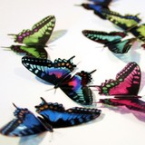 by Clear Cut Crafts