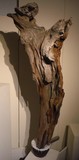 by fredie cumberland II