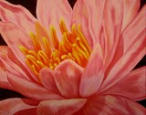 by Darla Brock