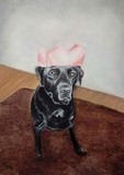 by joanne nash