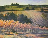 by Boz Vakhshori