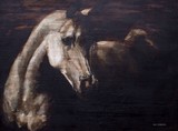 by els boedts