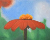 by Candace Antonelli