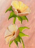 by Gerry Pariseau