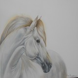 by Nora Begona