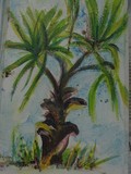 by Terri Christofferson