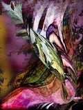 by Helmut Licht