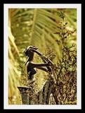 by upagupt mohanty