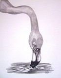 by Art Lover