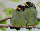 by Mary Arneson