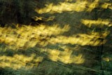 by John R Math