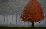 by Cathy Jordan