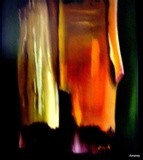 by Ely Amarely