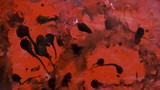 by Aparajita Tiwari
