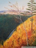 by cindy kelly