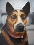 by cindy kelly