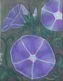 by Virginia Swift