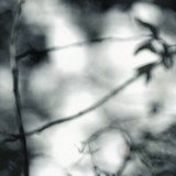 by Claudia Lorenz