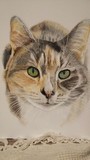 by Debi Ware
