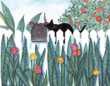 by Allison Kuehn