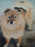 by Dawn Moir-Harris 