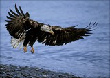 by Harry Eggens