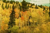 by Randy Schwanke