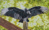 by Susan Marie Pieri