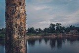 by Mikhail Nikonov